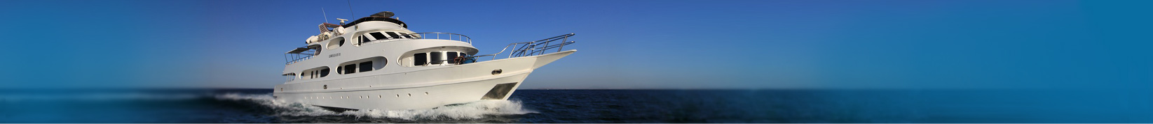 About United Dolphins