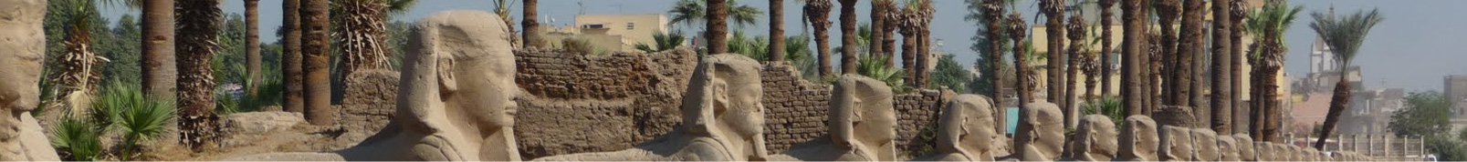 United Dolphins Other Services